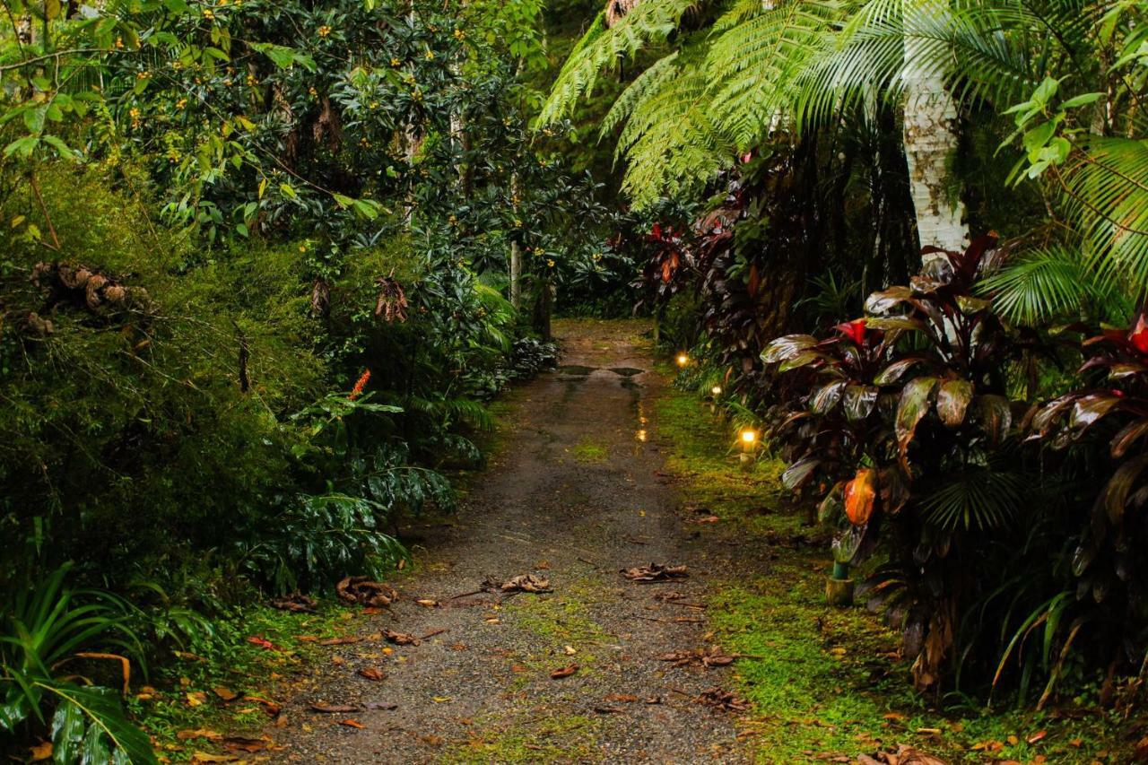 Quarto Varanda - Residencia Gaia Itatiaia Itatiaia  Eksteriør billede