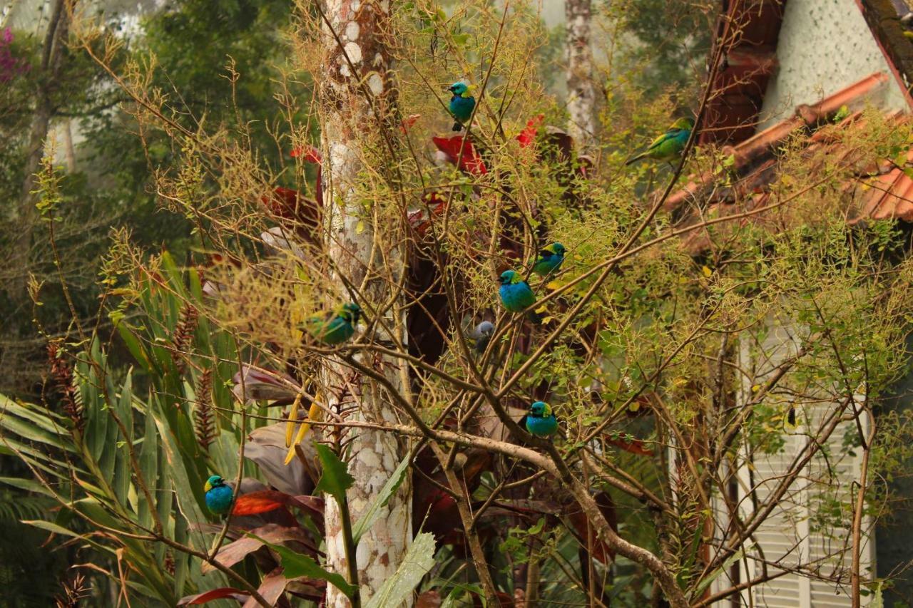 Quarto Varanda - Residencia Gaia Itatiaia Itatiaia  Eksteriør billede